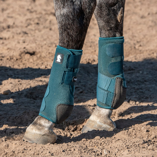 Classic Equine Legacy2 Support Boots, Hind