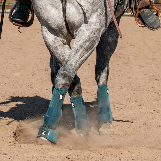 Classic Equine Legacy2 Support Boots, Hind