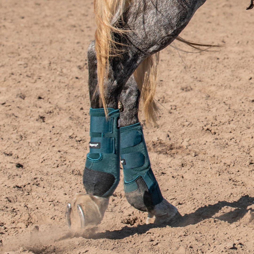 Classic Equine Legacy2 Support Boots, Hind