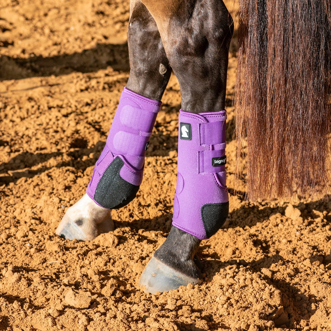 Classic Equine Legacy2 Support Boots, Hind