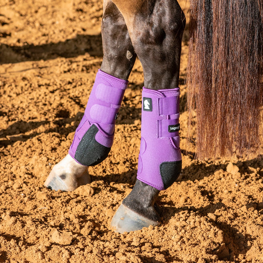 Classic Equine Legacy2 Support Boots, Hind