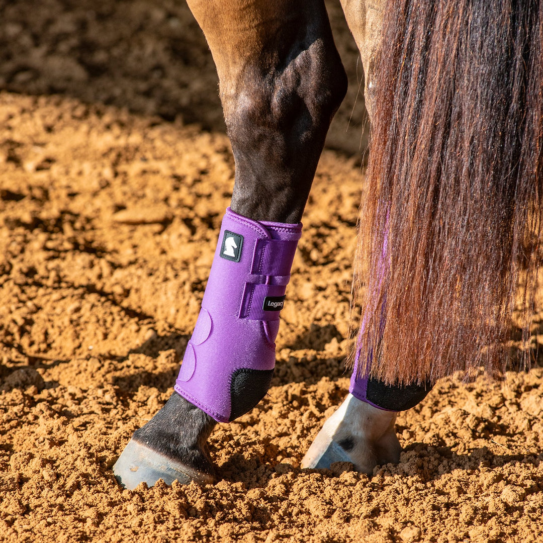 Classic Equine Legacy2 Support Boots, Hind