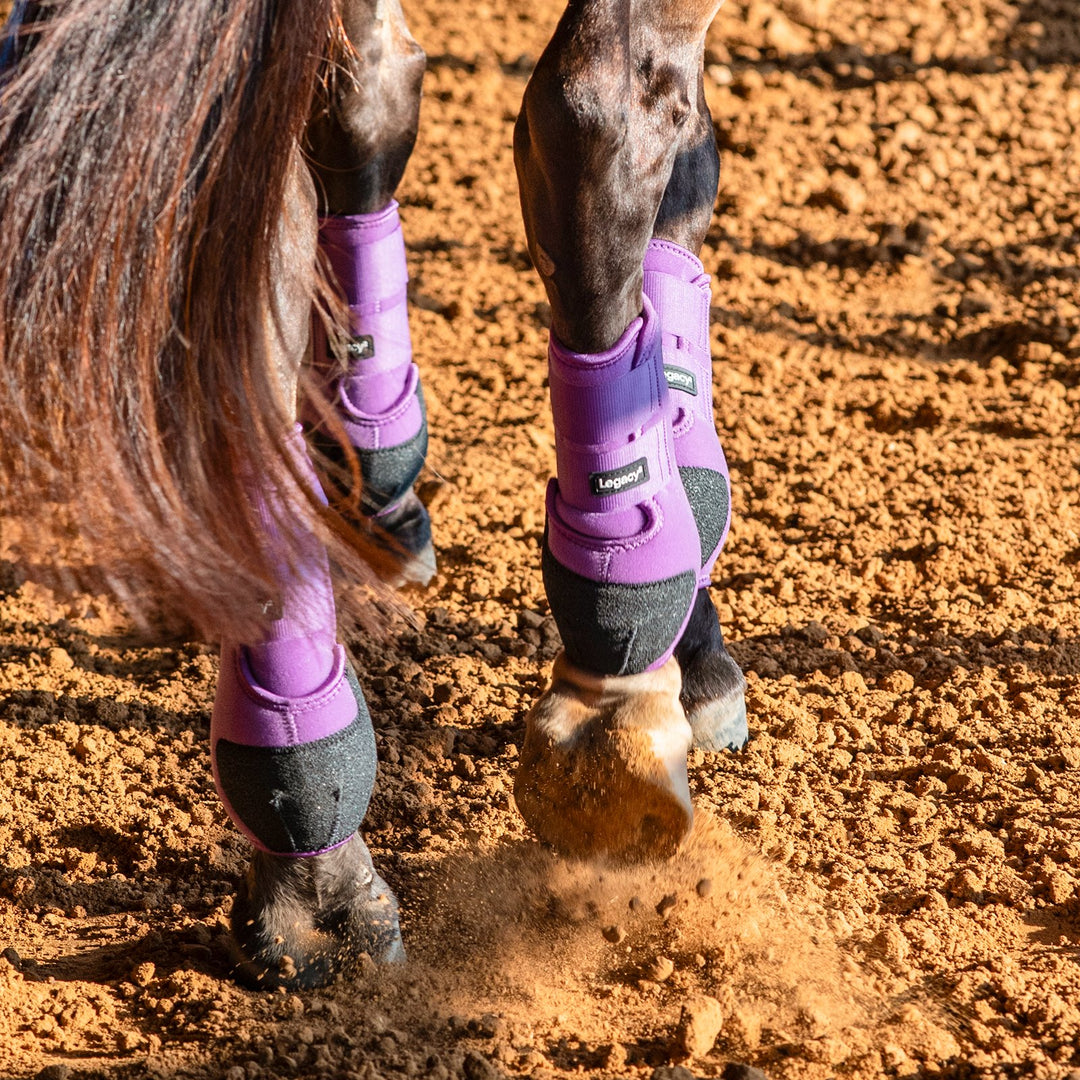 Classic Equine Legacy2 Support Boots, Hind