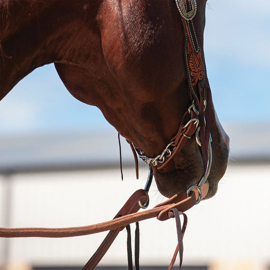 Martin Saddlery Latigo Curb Chain, 5-link