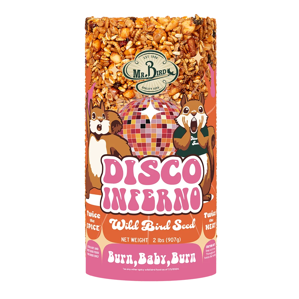 Mr. Bird Disco Inferno Small Cylinder