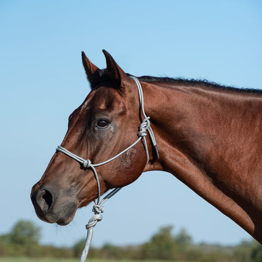 Classic Equine Rope Halter and 9 Foot Leadrope