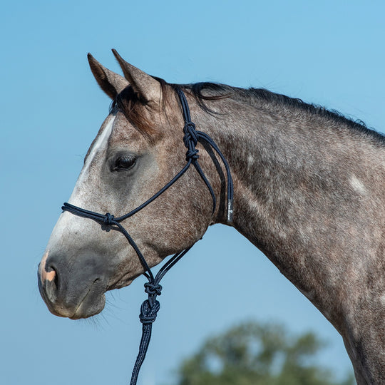 Classic Equine Rope Halter and 9 Foot Leadrope