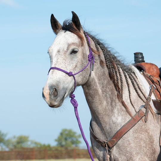 Classic Equine Rope Halter and 9 Foot Leadrope