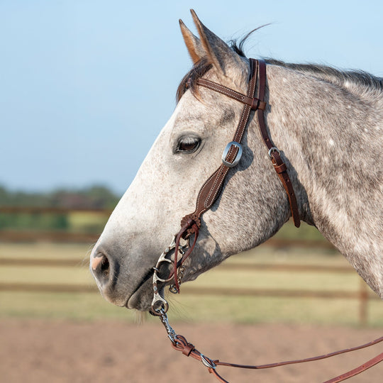 Martin Saddlery Browband Headstall with Rosette Strings