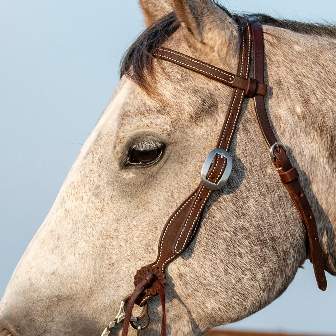 Martin Saddlery Browband Headstall with Rosette Strings