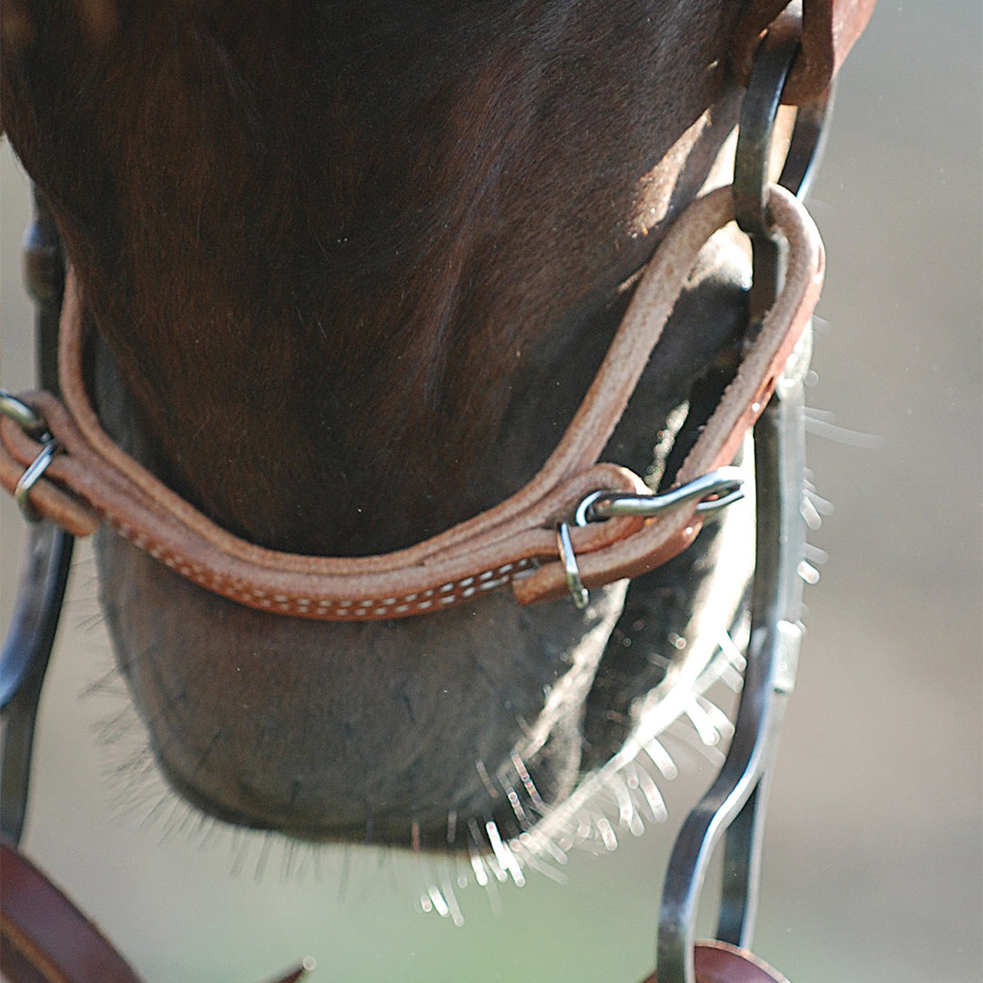 Martin Saddlery Harness Curb Strap