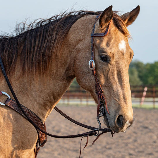 Martin Saddlery Slip Ear Headstall Weathered Antique with Latigo Ties