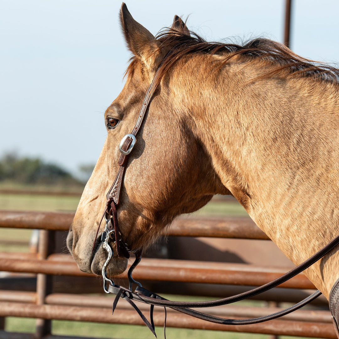 Martin Saddlery Slip Ear Headstall Weathered Antique with Latigo Ties