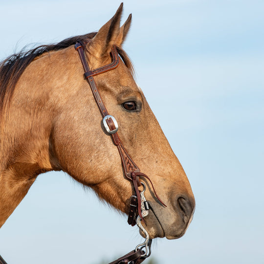 Martin Saddlery Slip Ear Headstall Weathered Antique with Latigo Ties