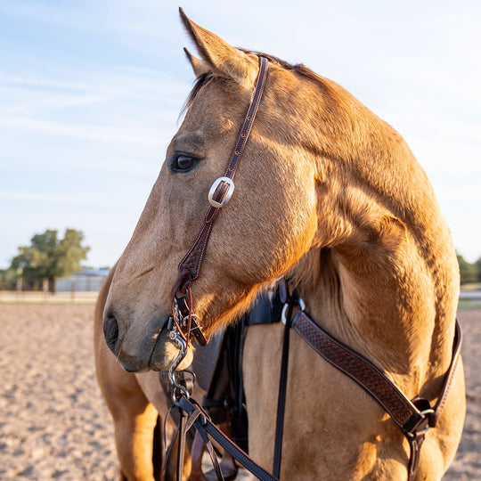 Martin Saddlery Slip Ear Headstall Weathered Antique with Latigo Ties