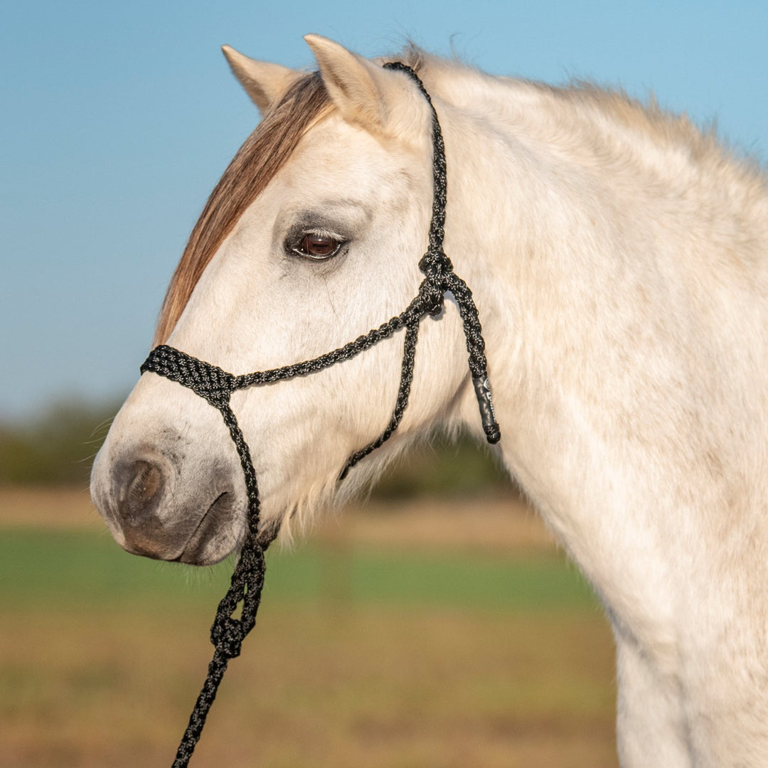 Cashel PONY Flat Braid Halter with Lead Rope