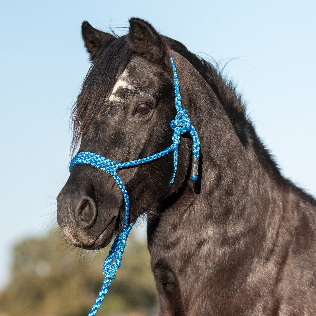 Cashel PONY Flat Braid Halter with Lead Rope