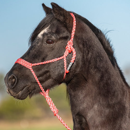 Cashel PONY Flat Braid Halter with Lead Rope