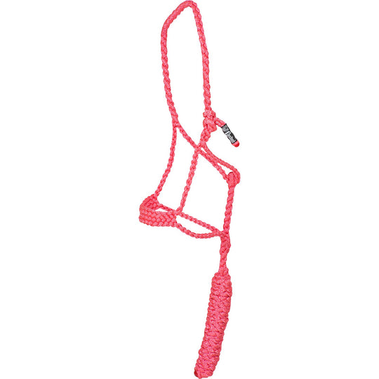 Cashel PONY Flat Braid Halter with Lead Rope