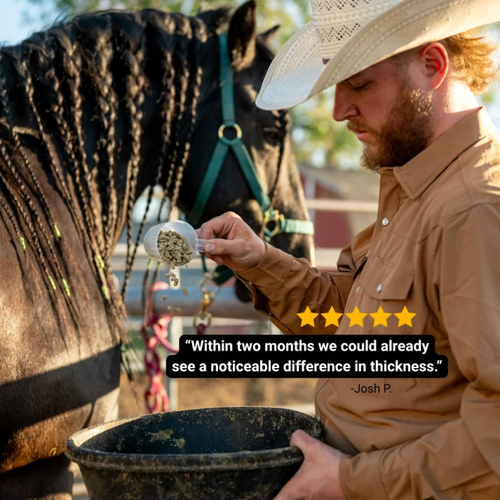 BioMane Equine Pellets