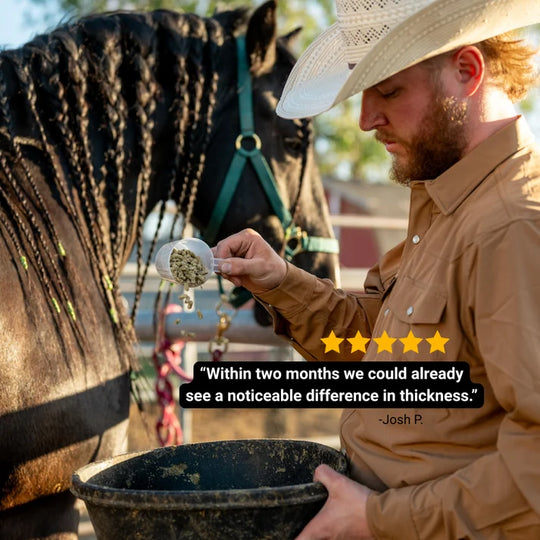 BioMane Equine Pellets