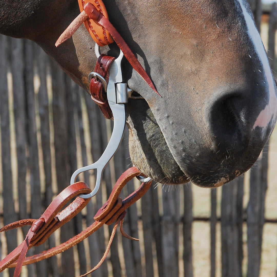 Classic Equine Performance Straight Shank Bit with Chain