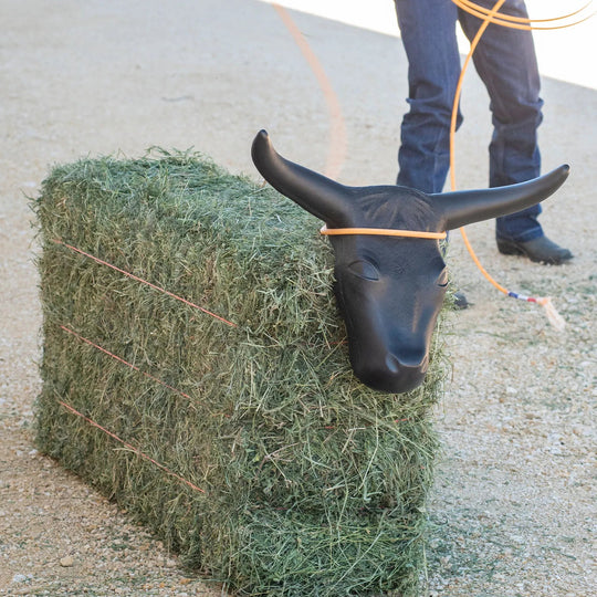 Classic Black Steer Head