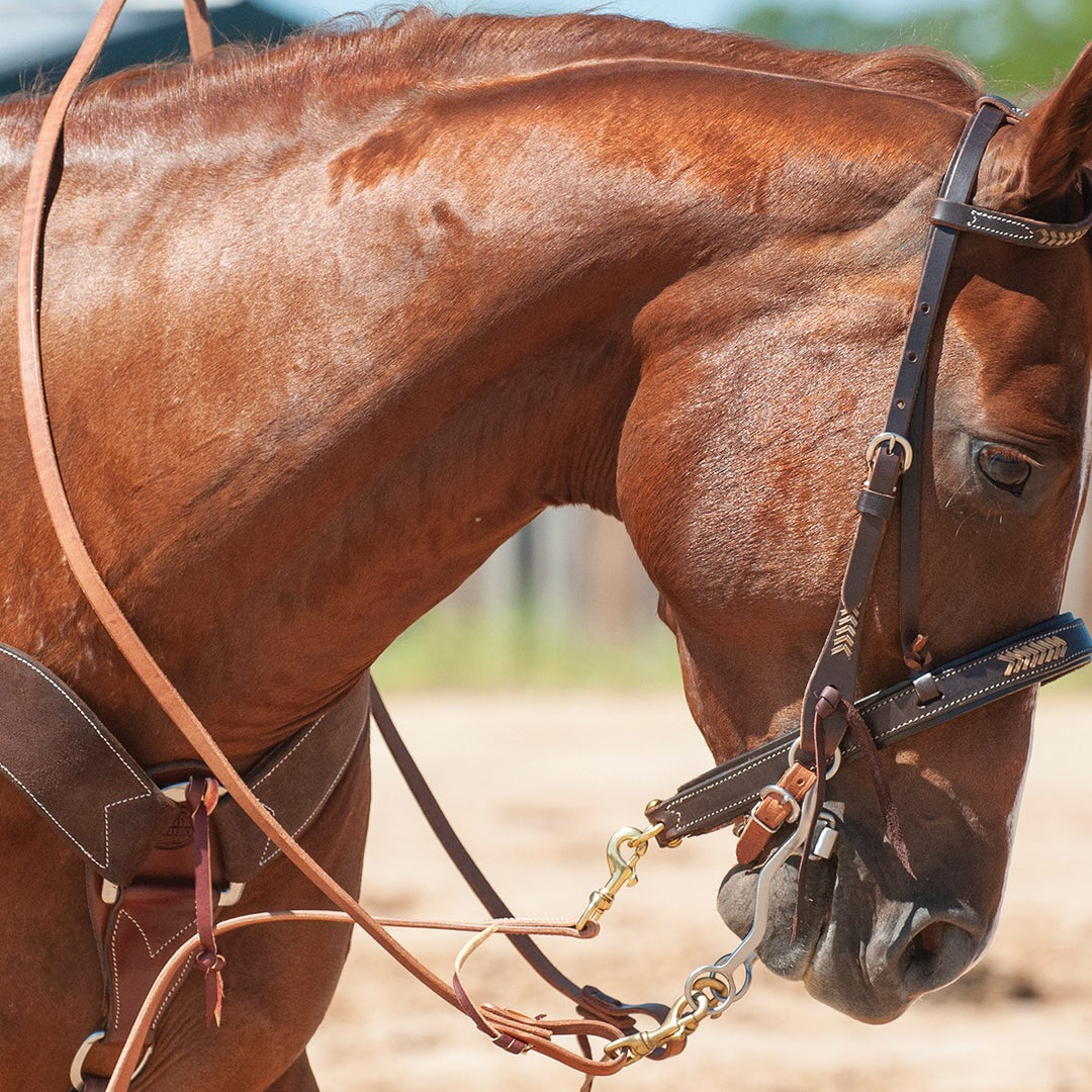 Martin Saddlery Walt Woodard Roping Rein 5/8-inch Thick Tied Snap Ends