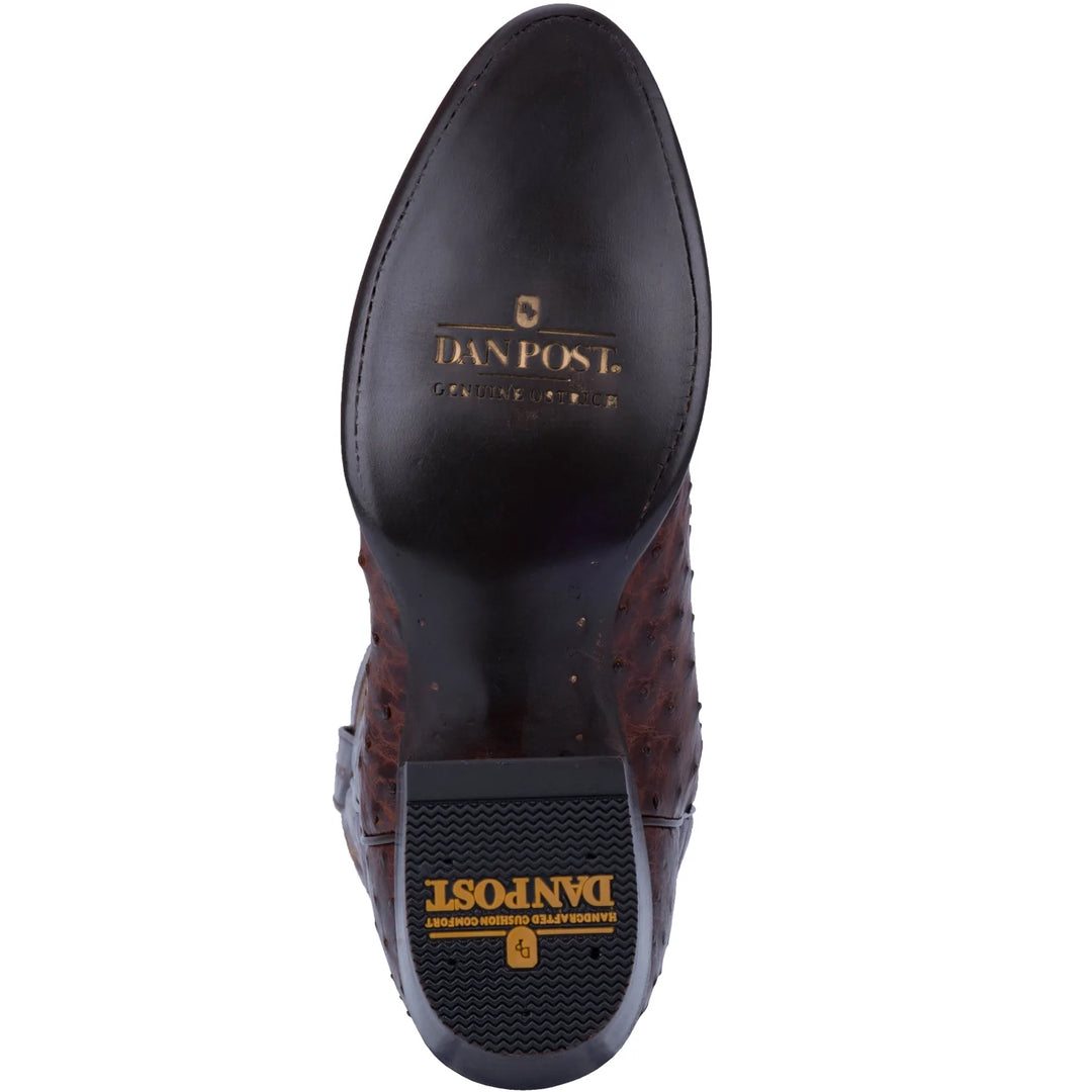 Vintage, bottes de cowboy lézard Dan Post Teju : bottes western bicolores pour hommes, 9,5 deniers - France Vintage, bottes de cowboy lézard Dan Post Teju : bottes western bicolores pour hommes, 9,5 deniers - France