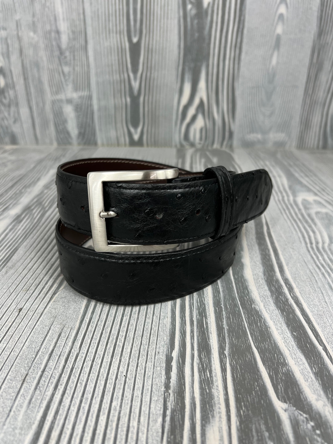 Cintura Chacon nera completa di struzzo con penna d'oca 1 1/2".